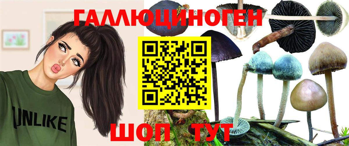 Саратов  Галлюциногенные грибы мухоморы  Вход с VPN 