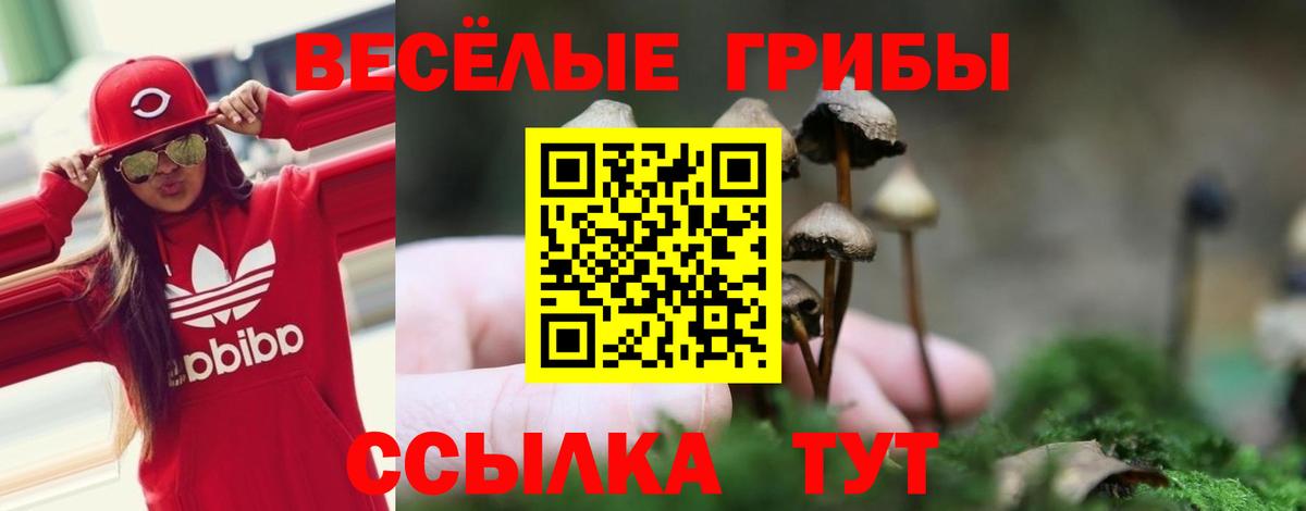 Галлюциногенные грибы Cubensis Саратов